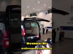 Hyundai H1 Automatic Tailgate Lift with Double Pole ในตลาดหลังการขายรถยนต์ทั่วโลก